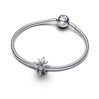 Charm Pandora in Argento Zirconia 793591C01 - 793591C01